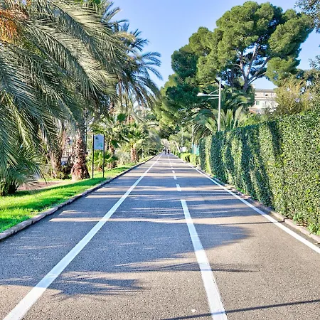 Jolie Sur La - Petit - Happy Sanremo